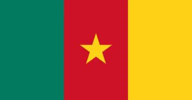 Flag of Cameroon