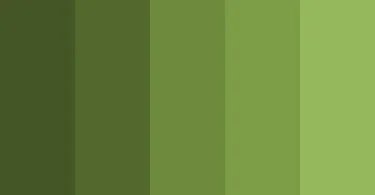 Two different shades of green are olive green and lemon green. Lemon green is associated with spring and new growth, whereas olive green is associated with military uniforms and camouflage. Lemon green is a bright, cheerful shade of green with a warm, yellow undertone, whereas olive green is a darker, muted green with a hint of brown or grey.